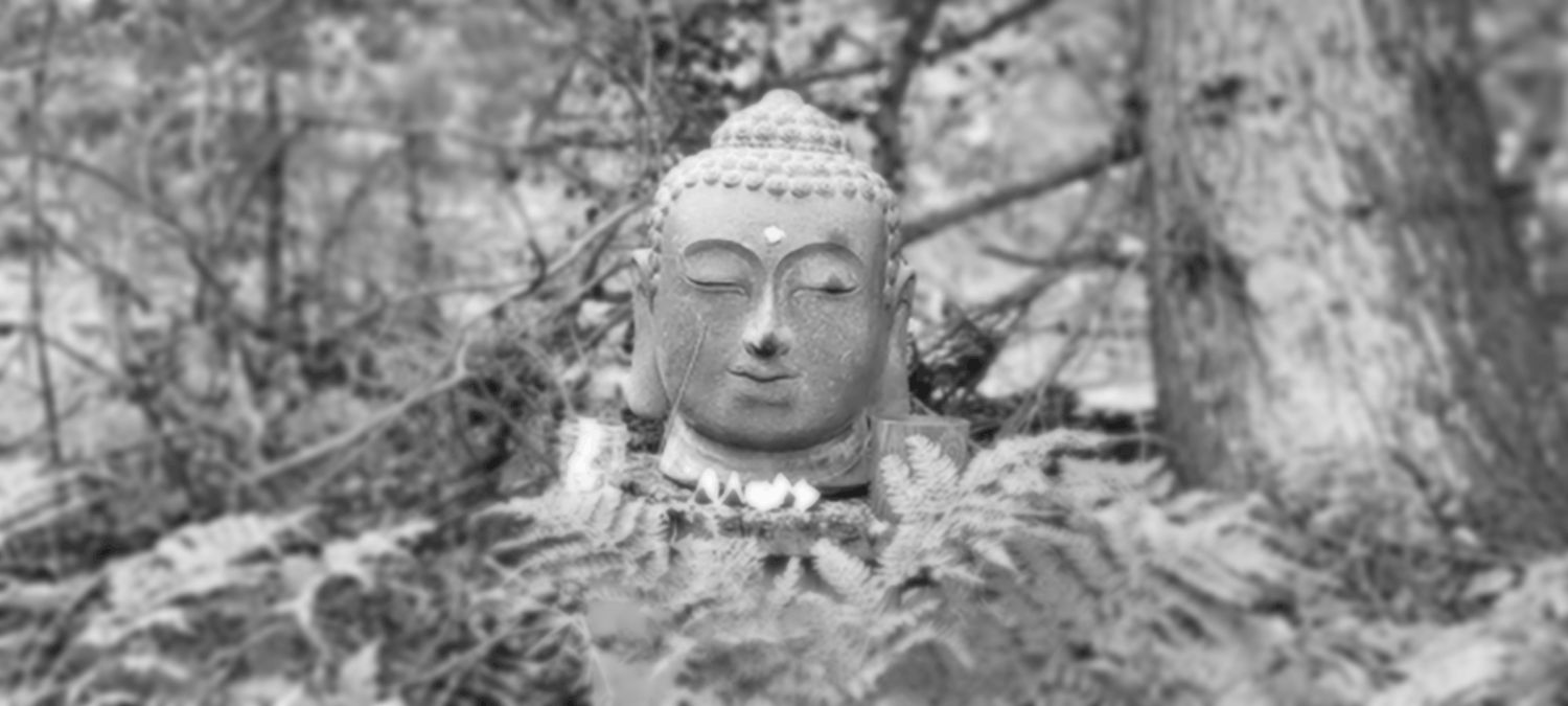 Buddha-Kopf zwischen Farnen im Wald