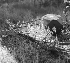 Pfeile in einer Zielscheibe im Gras